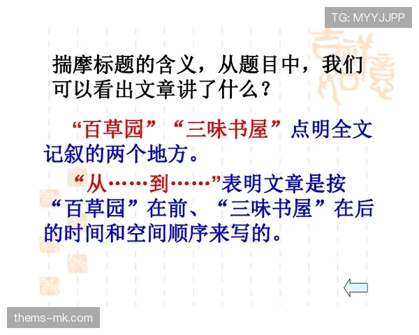 着地空间规则如何理解与判罚标准解析要点汇总